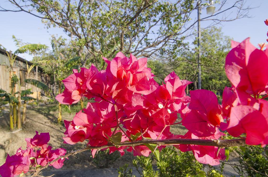 Rancho Curubande Lodge Либерия Экстерьер фото